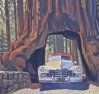 Yosemite Drive-Thru